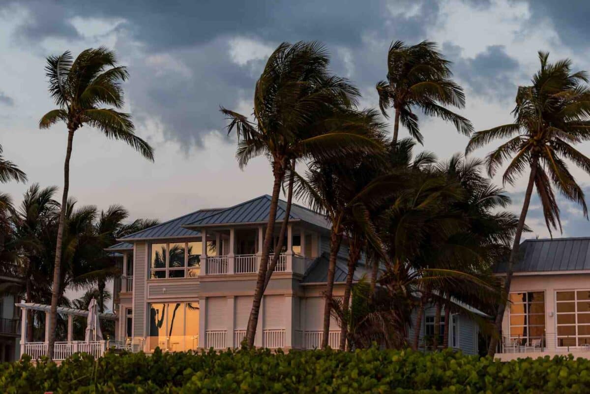 Coastal Florida home with a standing seam metal roof surrounded by palm trees